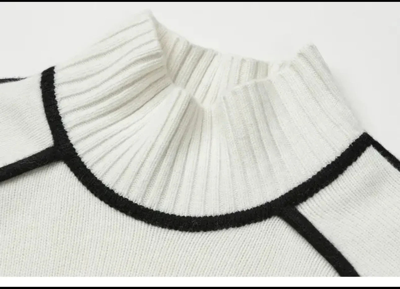 Delani Knit Turtleneck